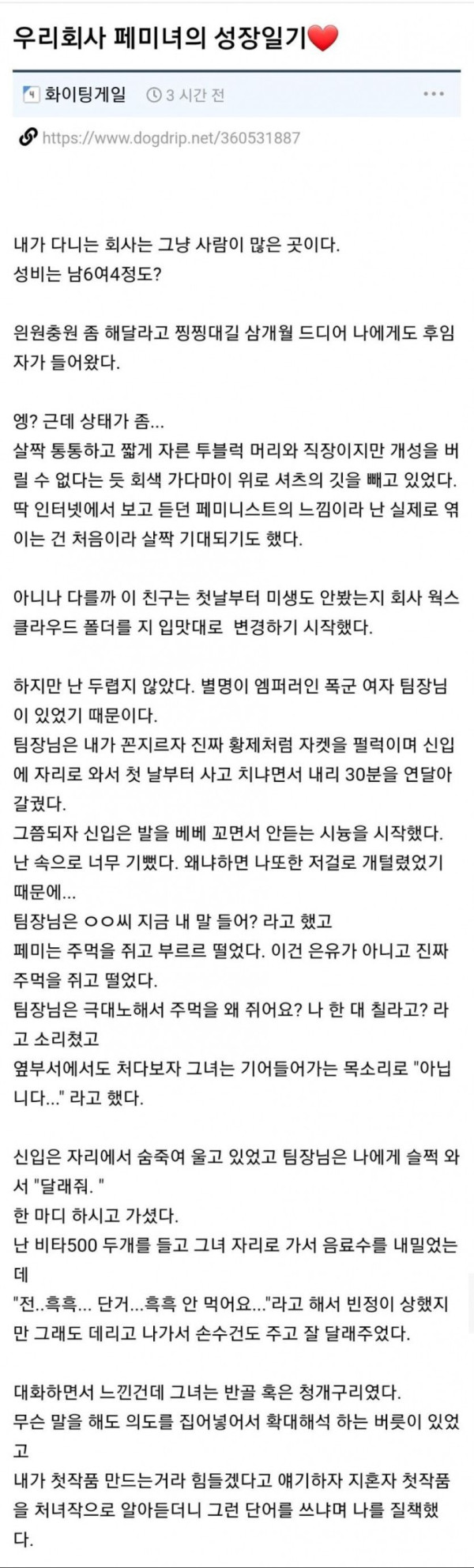 페미가 신입으로 들어온 회사