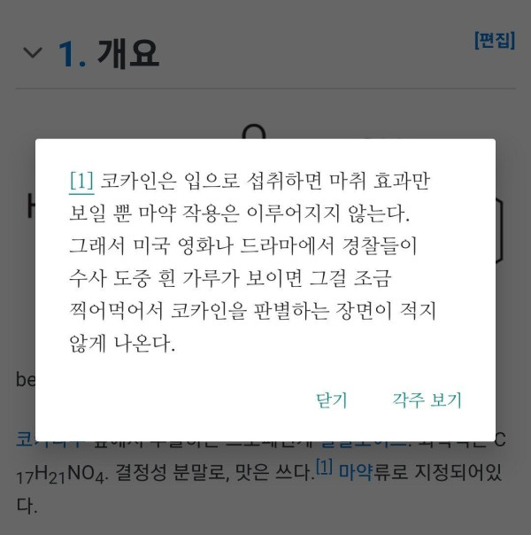 코카인 의외인 점